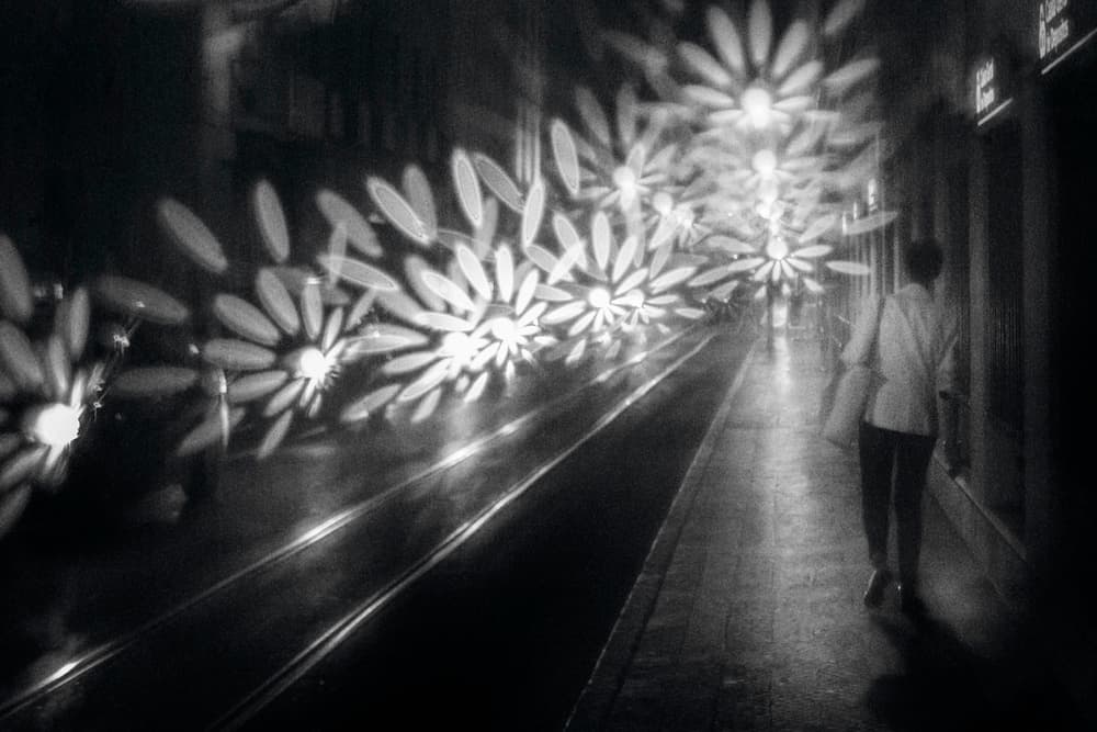 Mysterious Night Flowers by Laura Mexia — canvas wall art