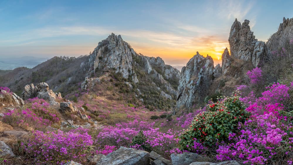 Vibrant Mountain Sunset by Jaeyoun Ryu — canvas wall art