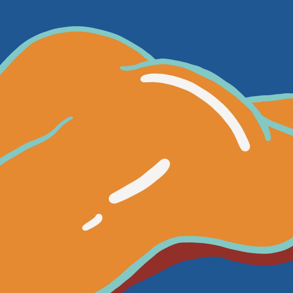 Smooth Orange Curves by Little Dean — canvas wall art