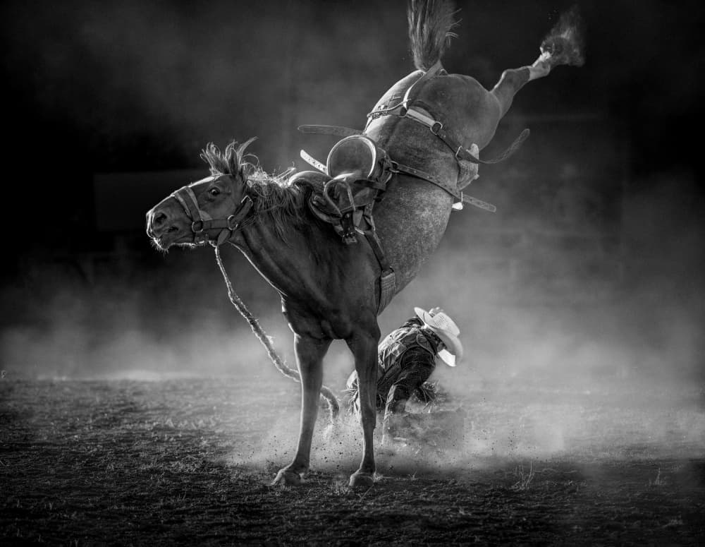 Wild Bucking Bronc by Frank Ma — canvas wall art