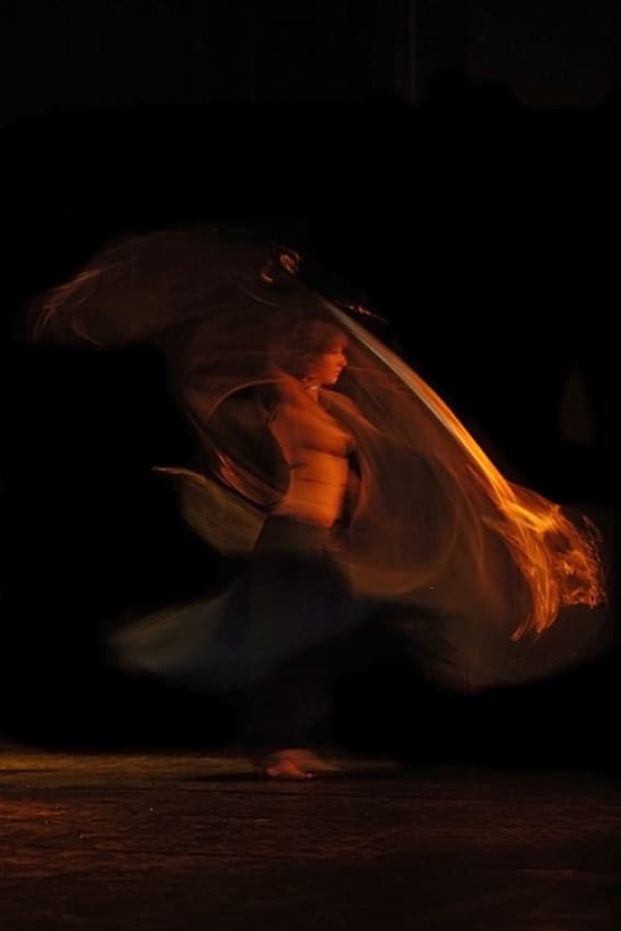 Dynamic Dance Flow by Jure Kravanja — canvas wall art