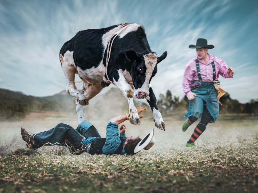 Rodeo Clown Cow Action by Frank Ma — canvas wall art