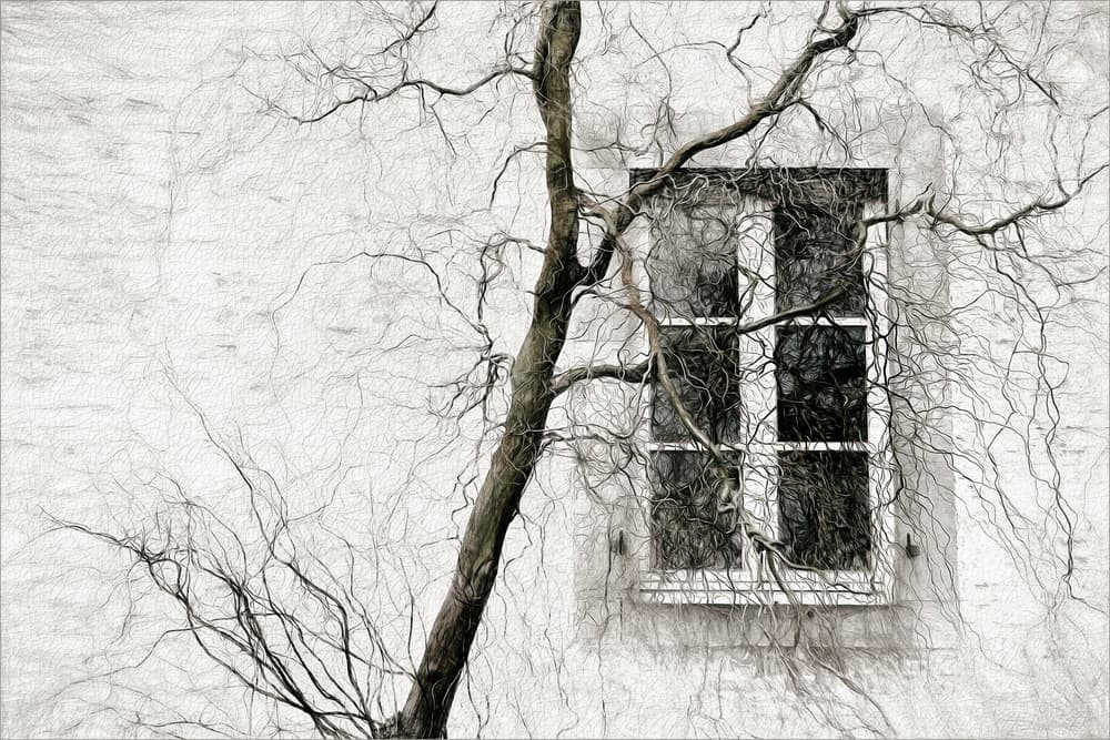 veiled window by Gilbert Claes — canvas wall art