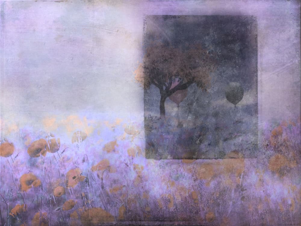 Dreamy Poppy Field Balloons by Delphine Devos — canvas wall art