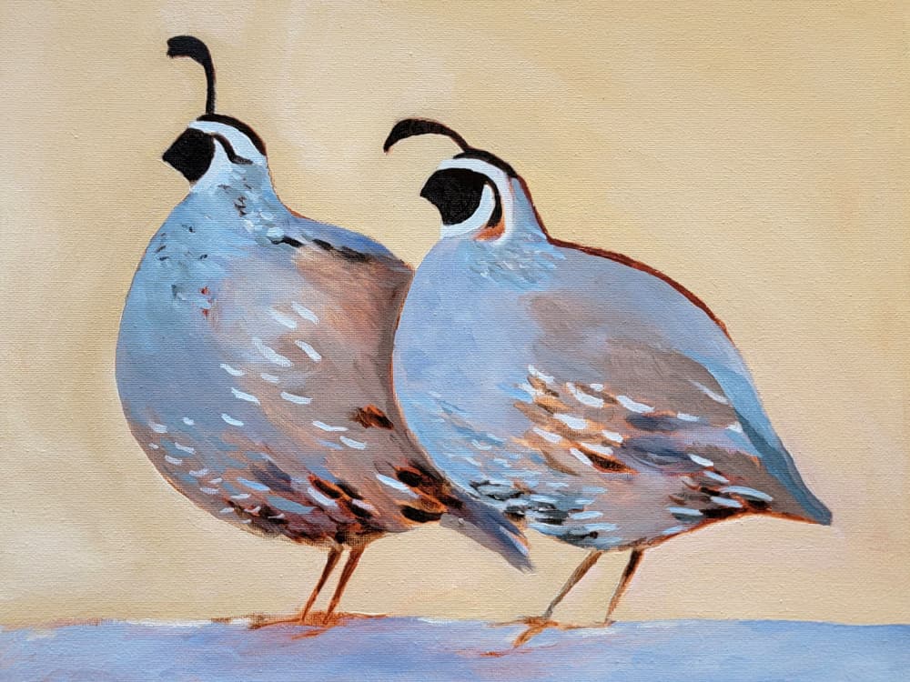 Charming Quail Pair by Claire Whitehead — canvas wall art