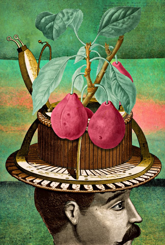Surreal Pear Hat Gentleman by Marja van den Hurk — canvas wall art