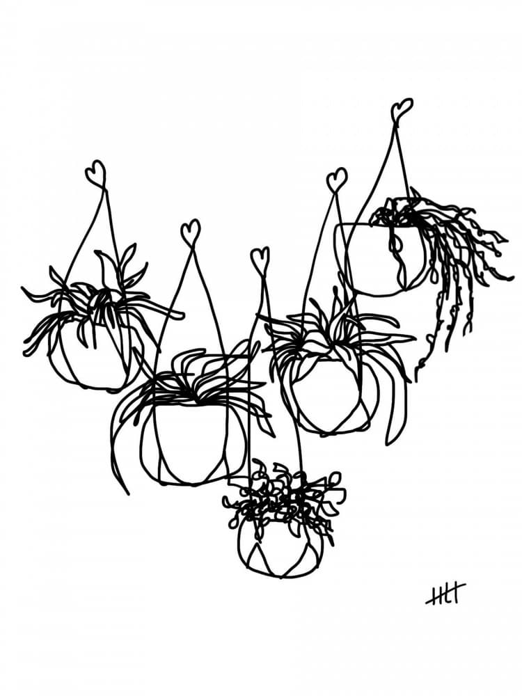 Minimalist Hanging Plants by Hanna Lee Tidd — canvas wall art