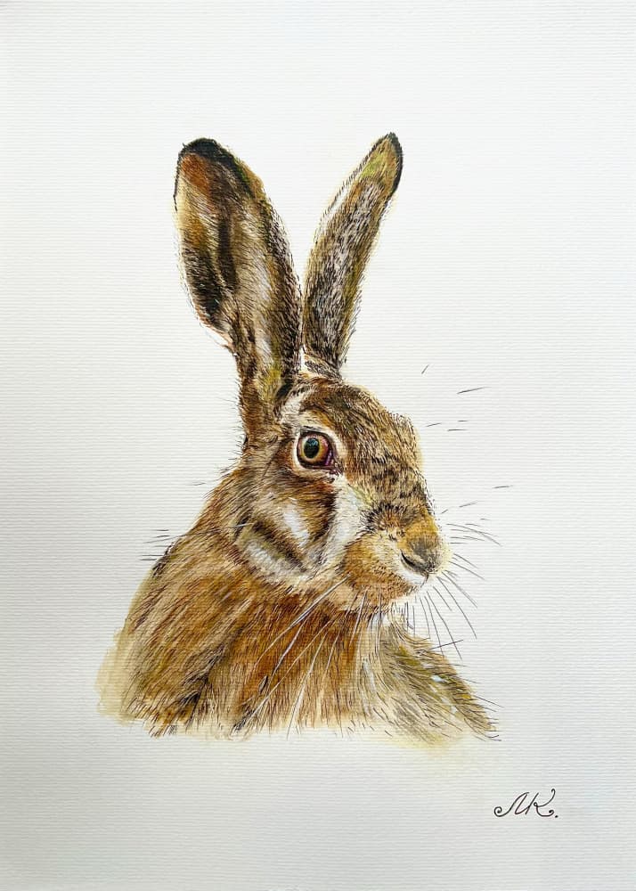 Alert Hare Portrait by Marina Kozyr — canvas wall art