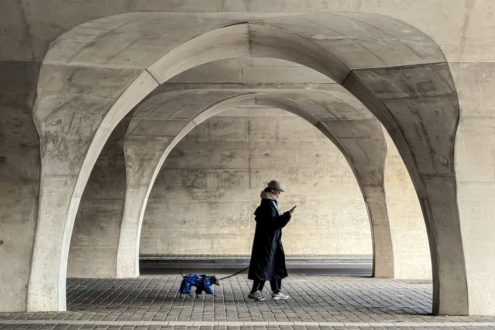 Modern Arches Dog Walk by Lus Joosten — canvas wall art