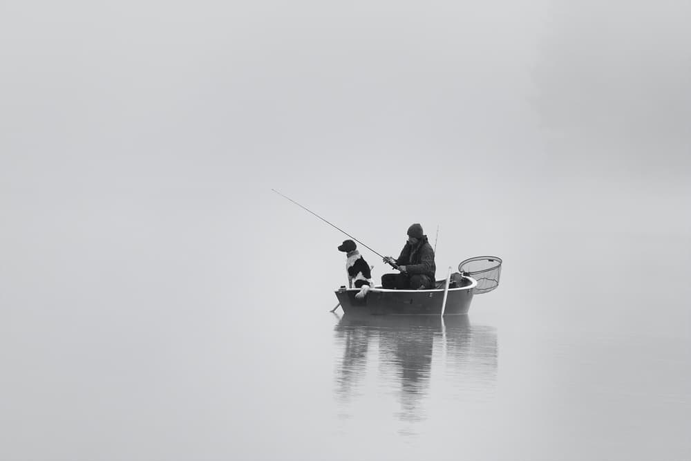 Serene Fishing Companions by Uschi Hermann — canvas wall art