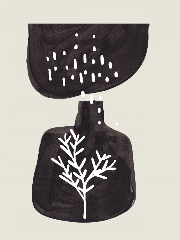 Nourishing Seed Growth by Ejaaz Haniff — canvas wall art