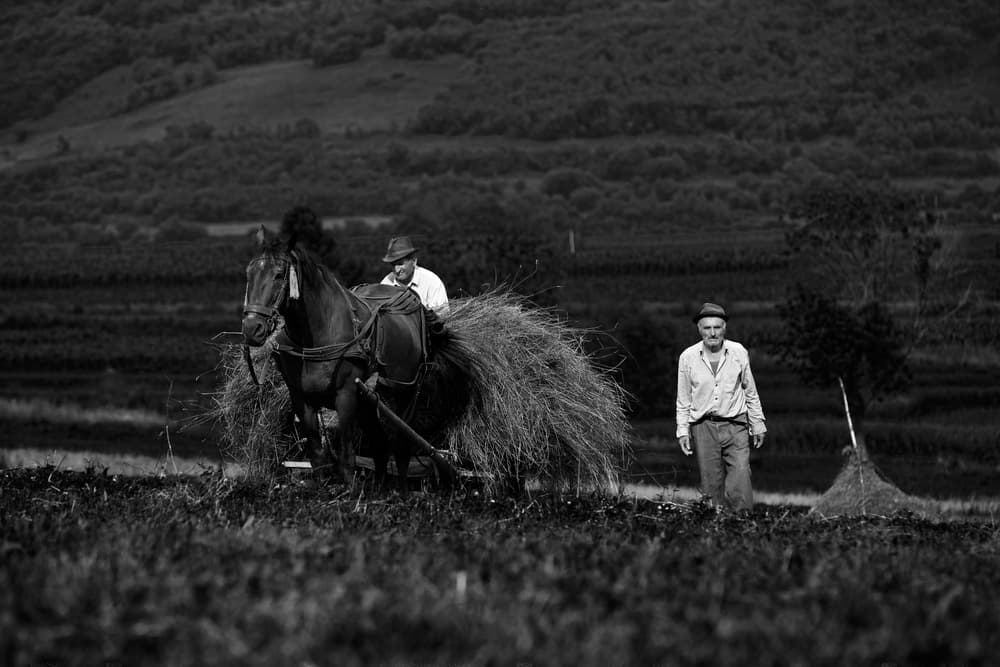 Traditional Farm Work by Julien Oncete — canvas wall art