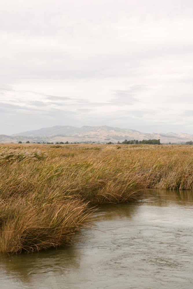 Serene River Landscape by Crystal Lynn Collins — canvas wall art