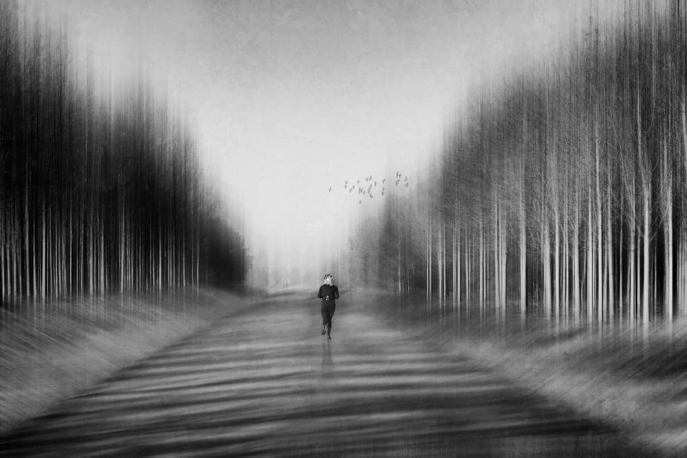Dynamic Runner Forest Path by Roswitha Schleicher-Schwarz — canvas wall art