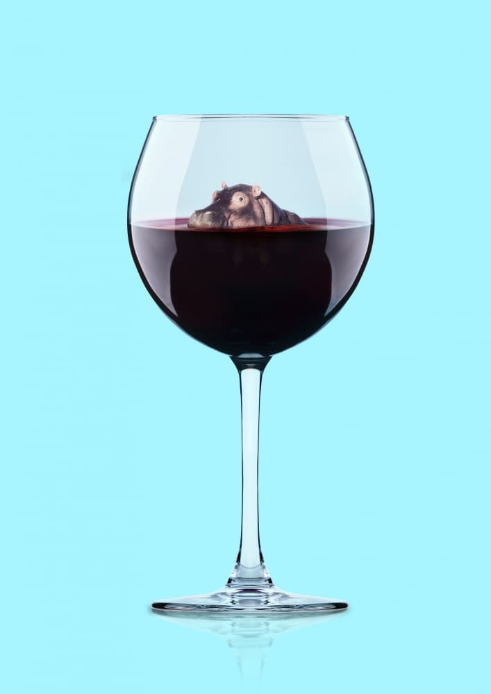 Hippo In Red Wine by Artem Pozdniakov — canvas wall art