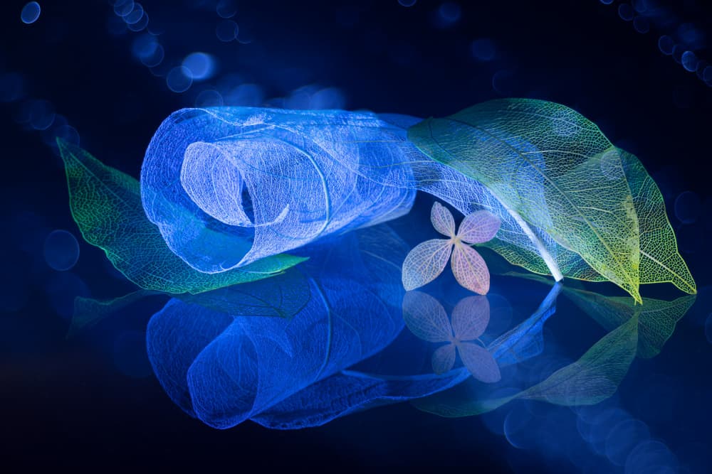 Glowing Blue Leaves by Igor Kopcev — canvas wall art