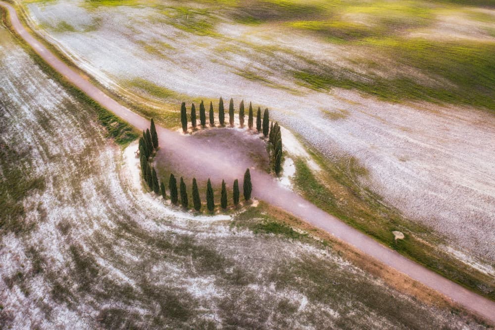 Cypress Circle Landscape by Luigi Ruoppolo — canvas wall art