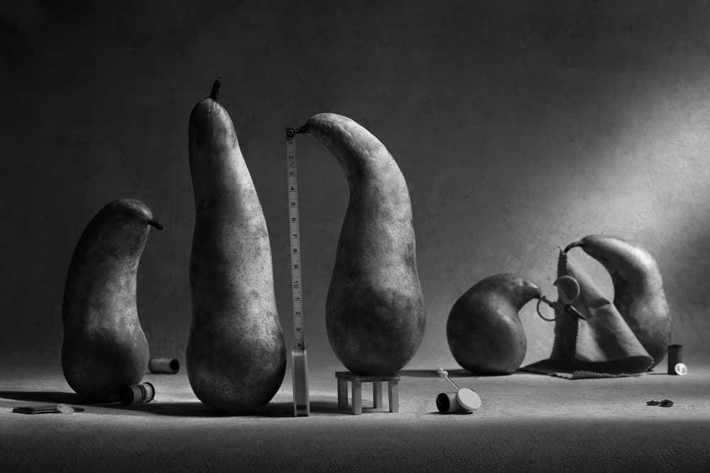 The Tailor's Gourds by Victoria Glinka — canvas wall art