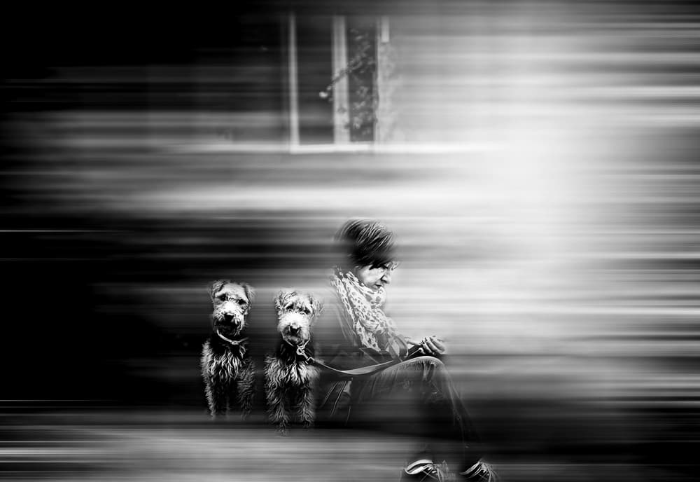Woman Dogs Motion Blur by Carmine Chiriacò — canvas wall art