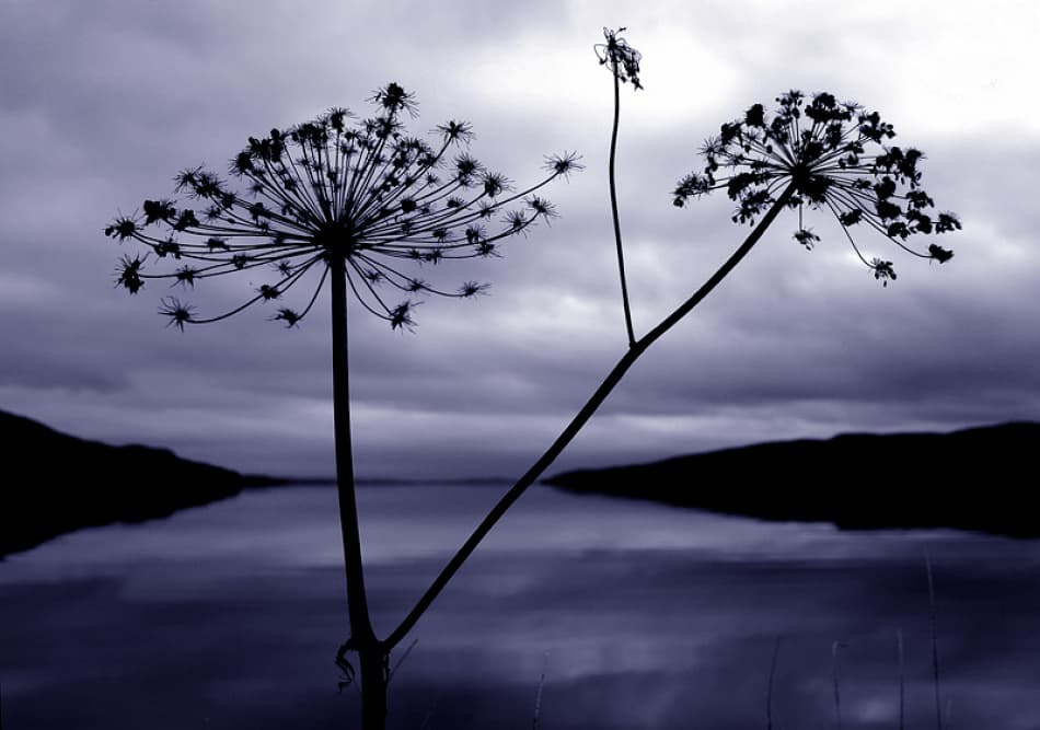 Dusk Lake Silhouette by Bror Johansson — canvas wall art