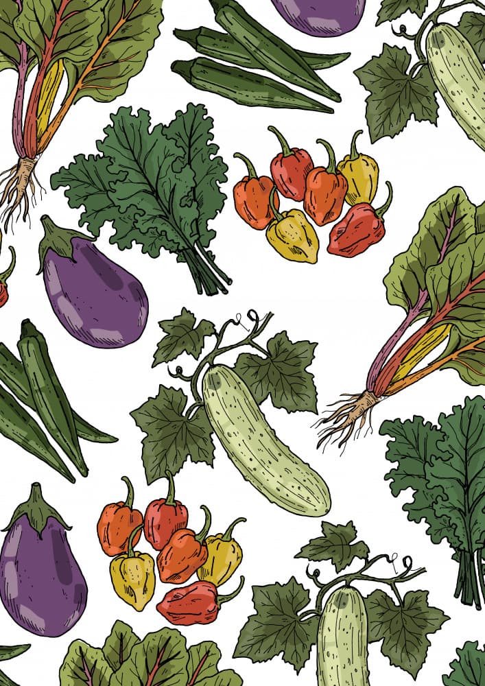 Vibrant Vegetable Harvest by Nicholas — canvas wall art