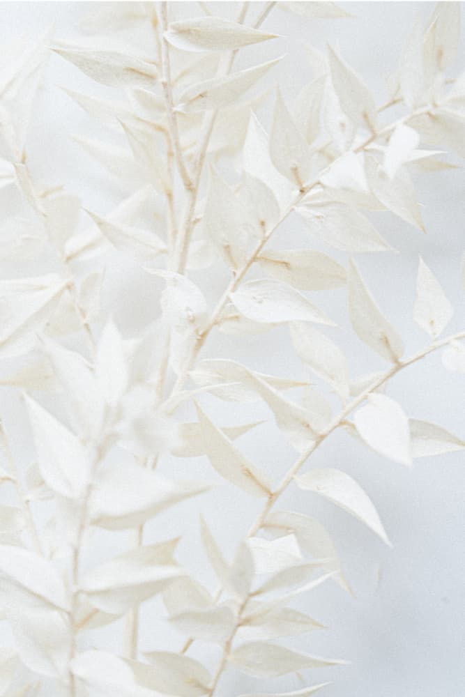 Ethereal Leaves by uplusmestudio — canvas wall art