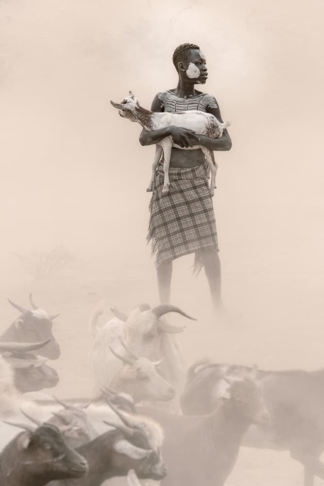 African Herder and Goats by Trevor Cole — canvas wall art
