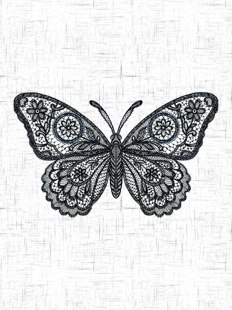 Elegant Lace Butterfly by Suchi Deb — canvas wall art