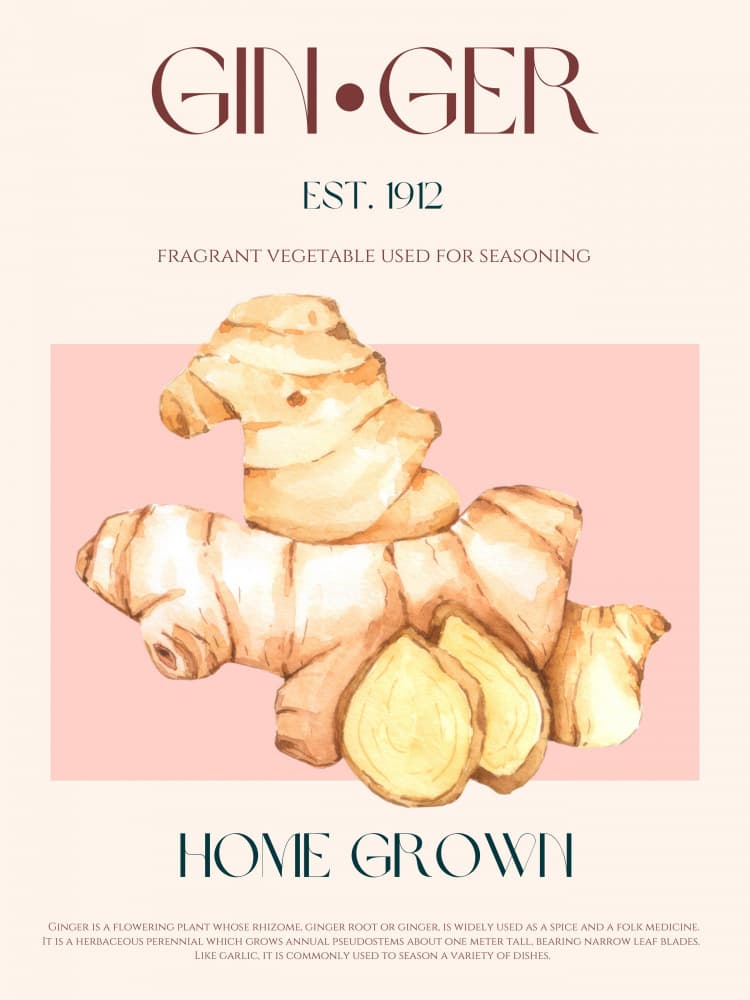 Homegrown Ginger Roots by Nazma Khokhar — canvas wall art