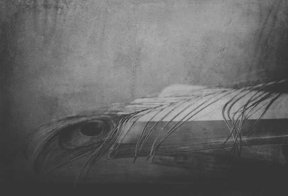 Monochrome Feather Eye by Delphine Devos — canvas wall art