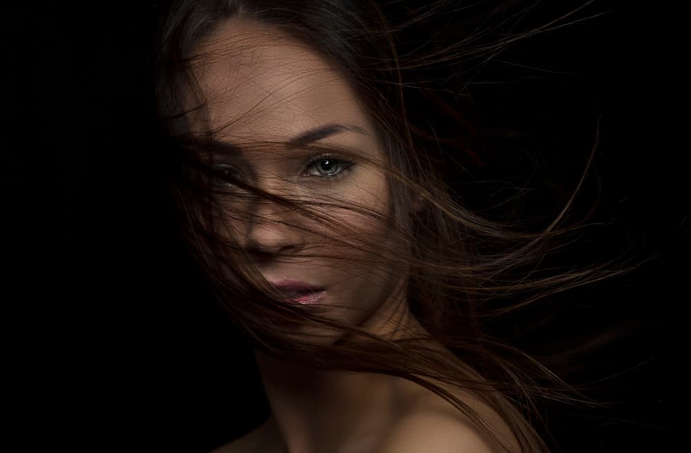 Windblown Gaze by Howard Ashton-Jones — canvas wall art