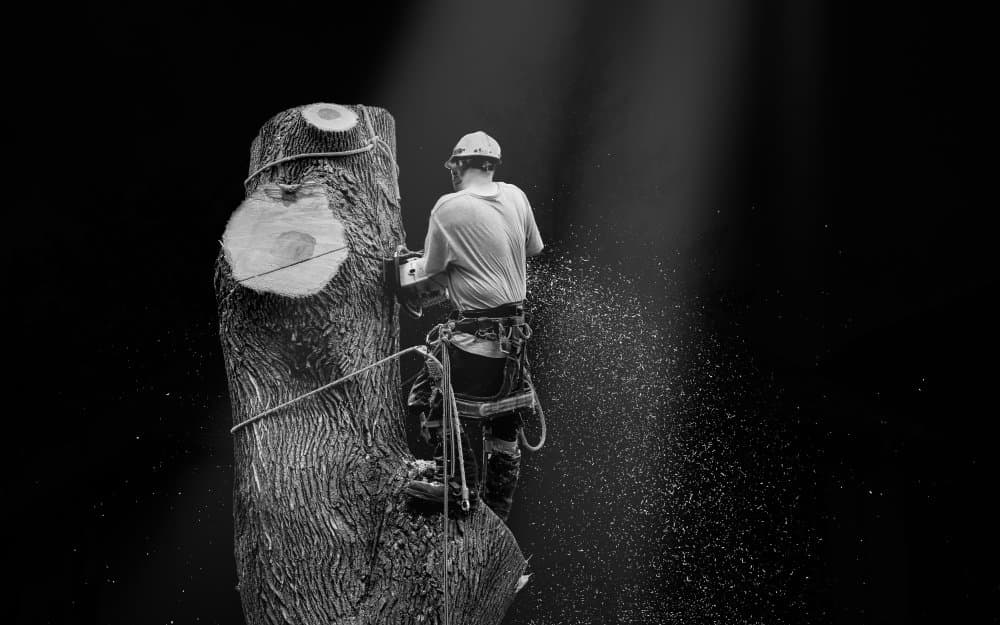 Arborist's Powerful Cut by Steven Zhou — canvas wall art