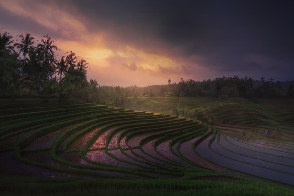 Reflecting Sunset Paddies by Juan Pablo de Miguel — canvas wall art