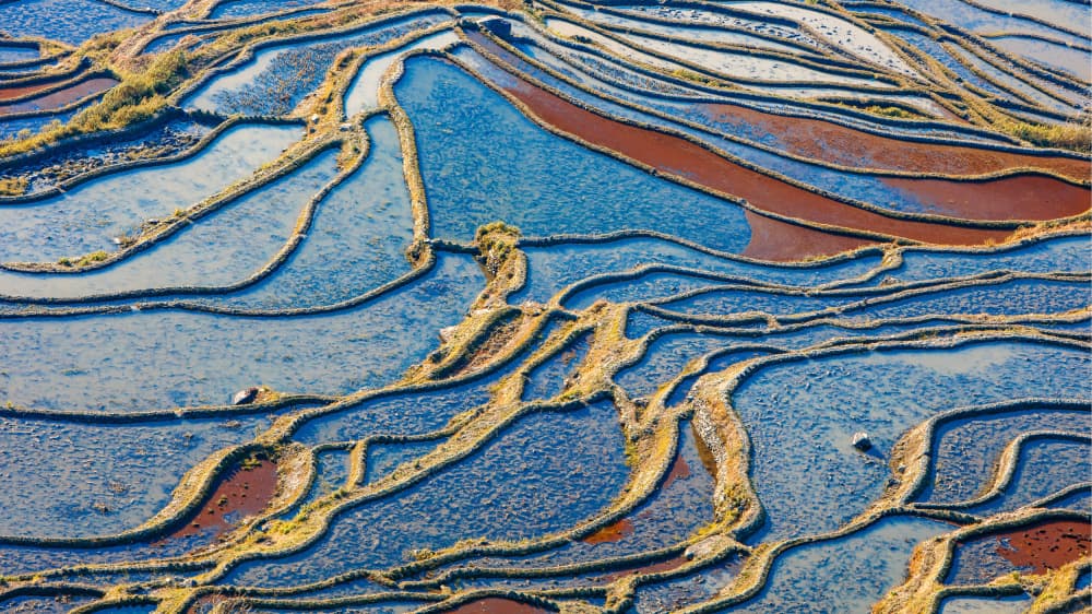 Reflecting Rice Terraces by Shin Woo Ryu — canvas wall art