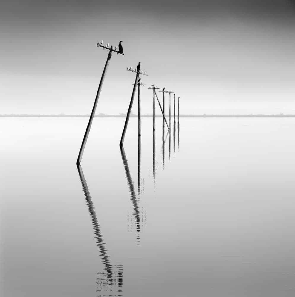 Poles Reflecting Calm by George Digalakis — canvas wall art