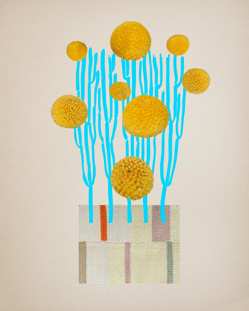 Vibrant Botanical Spheres by Diana Jahns — canvas wall art