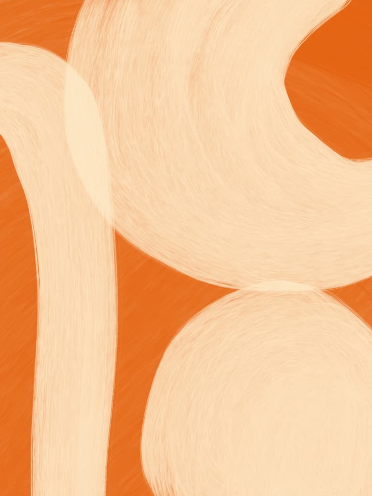 Soft Organic Shapes by Studio Palette — canvas wall art