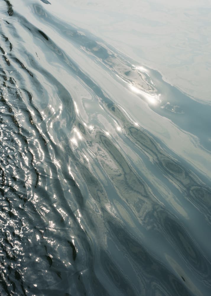 Shimmering Water Reflections by Lynann Colligan — canvas wall art