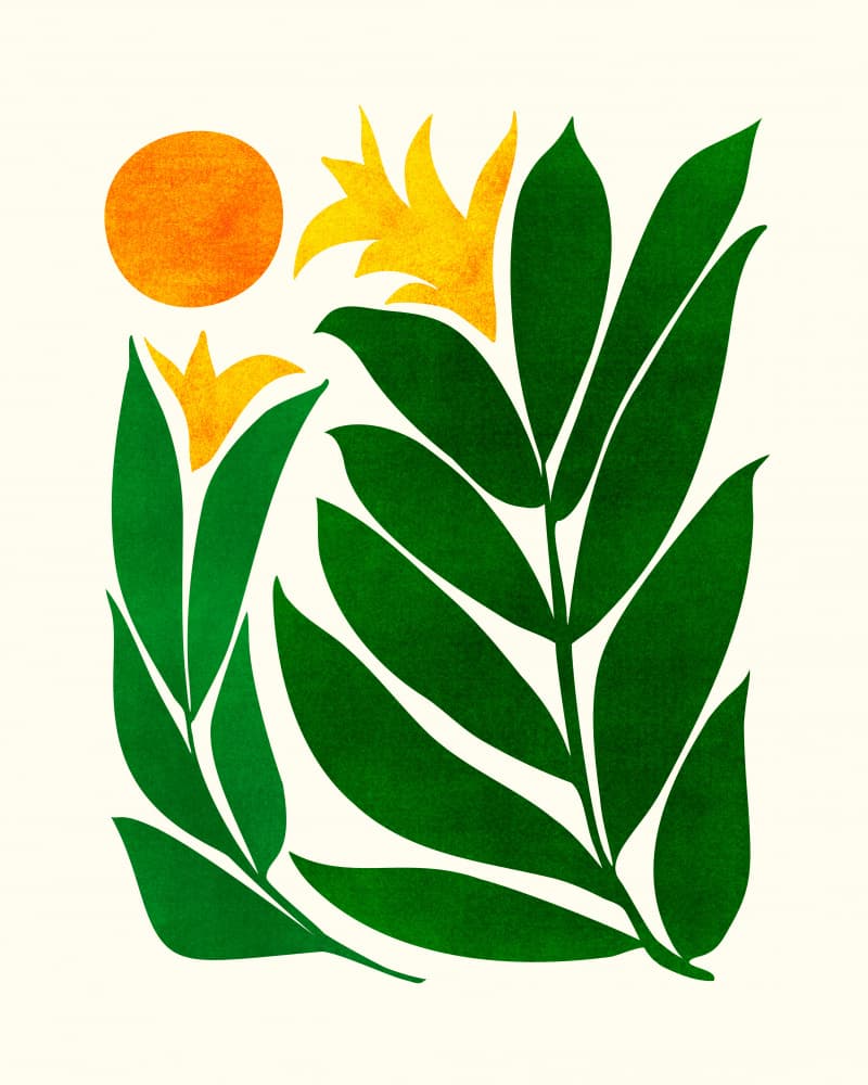 Mid Cen Emerald Garden by Kristian Gallagher — canvas wall art