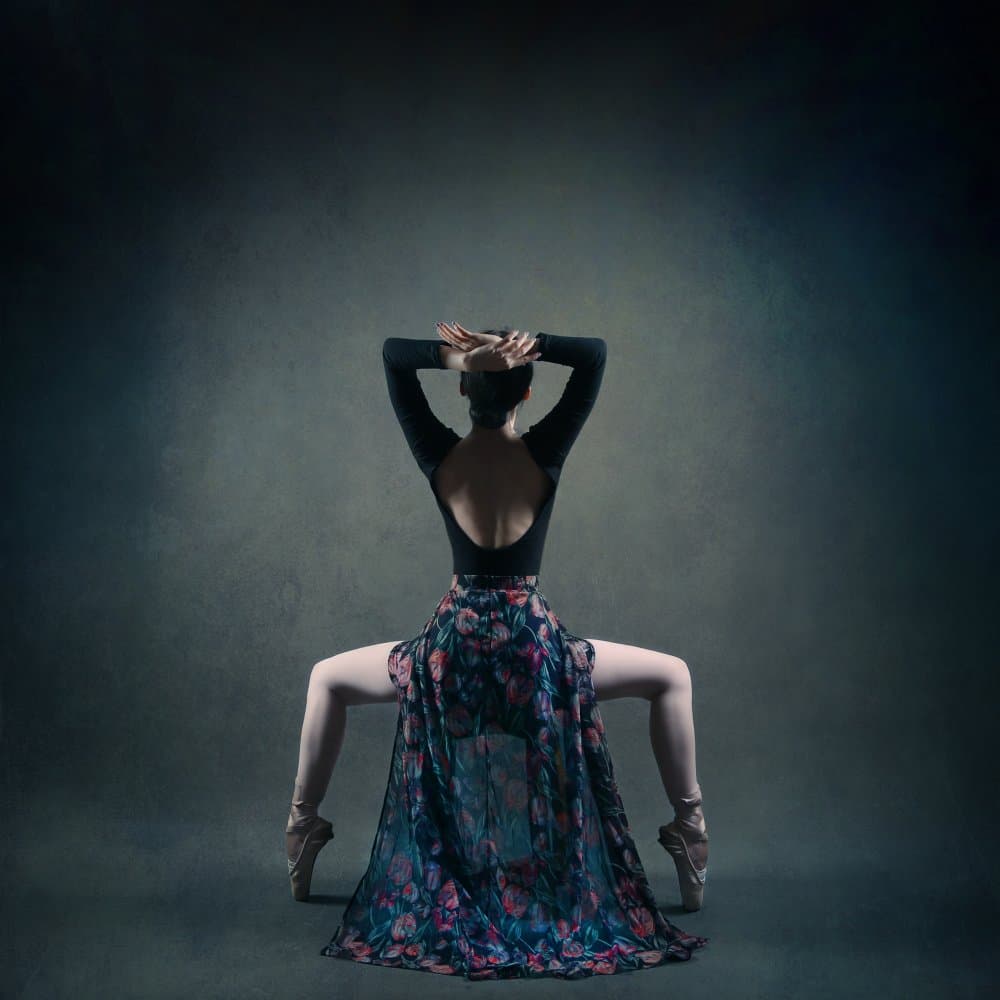 Graceful Ballerina Pose by Moein Hasheminasab — canvas wall art