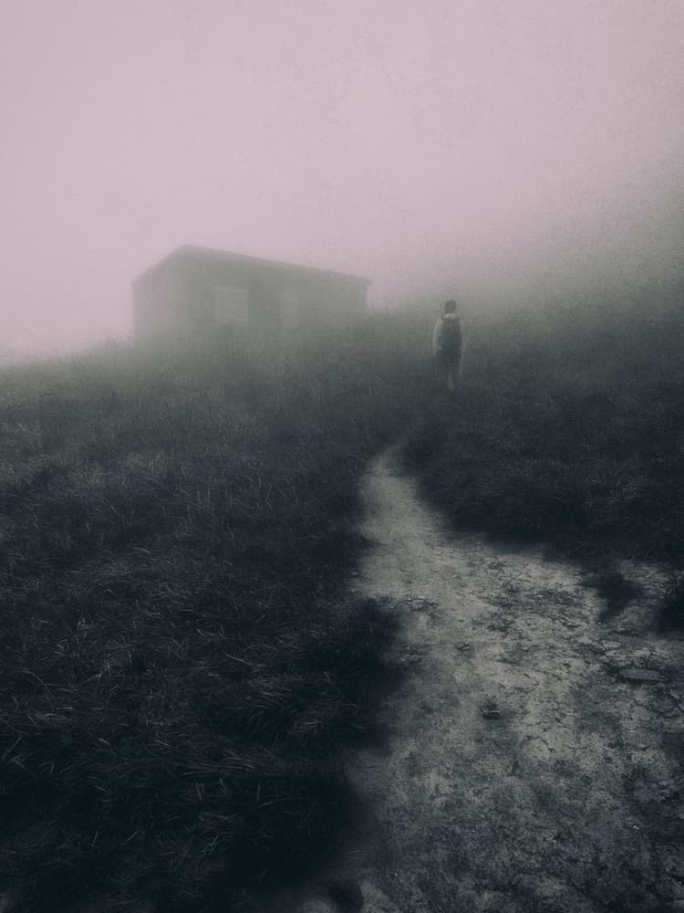 Path To The Misty Cabin by Mozart Chan — canvas wall art