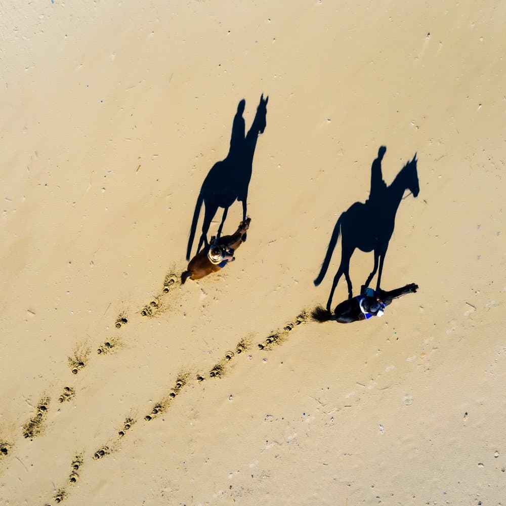 Long Shadows on Sand by Gilad Topaz — canvas wall art