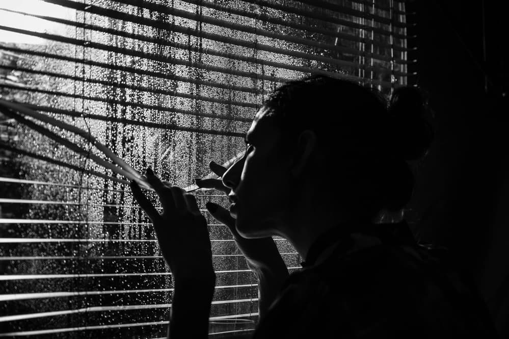 Rainy Window Silhouette by Dov Fuchs — canvas wall art