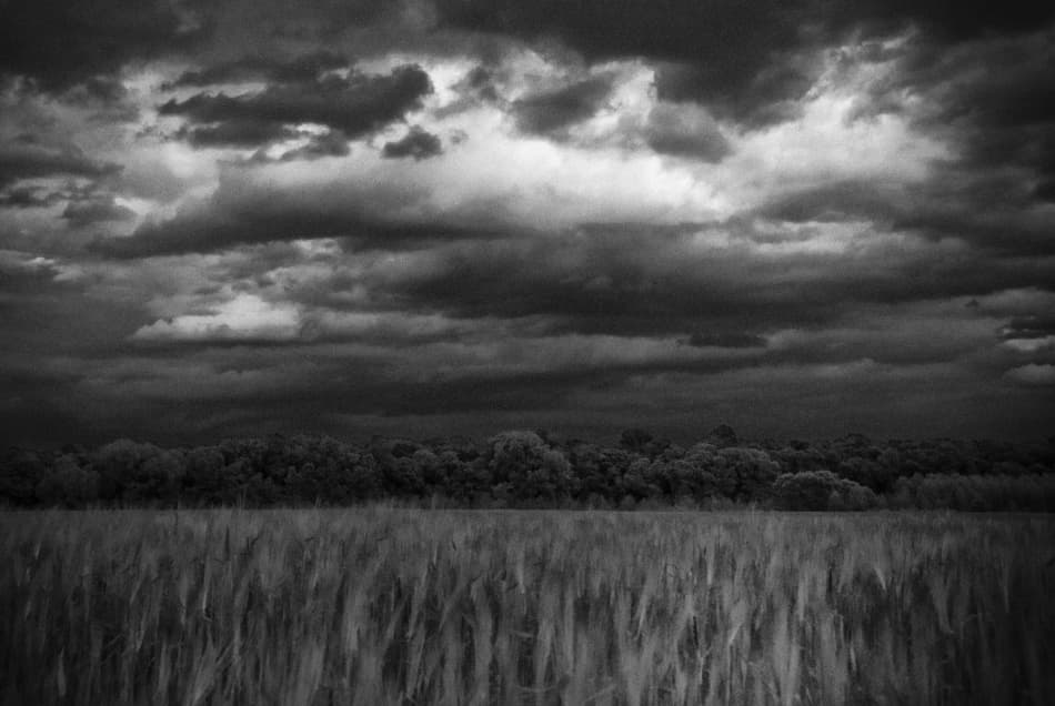 Stormy Field Sky by Codrin Lupei — canvas wall art