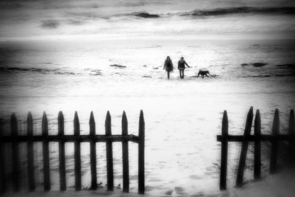 Winter Beach Walk by Paulo Abrantes — canvas wall art