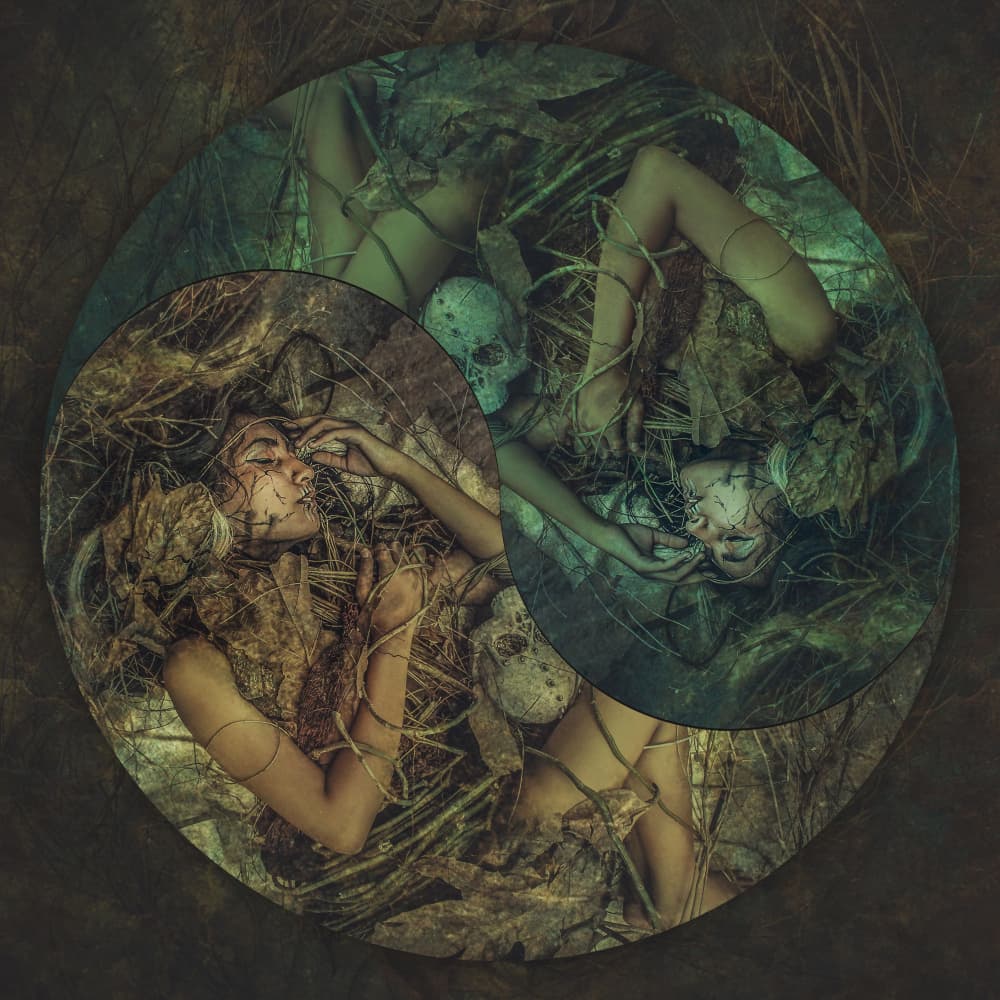 Entwined Nature Spirits by Ajar Setiadi — canvas wall art