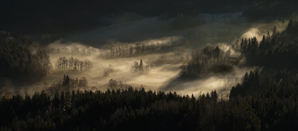 Golden Valley Fog by Izabela Laszewska-Mitrega / Darek Mitręga — canvas wall art