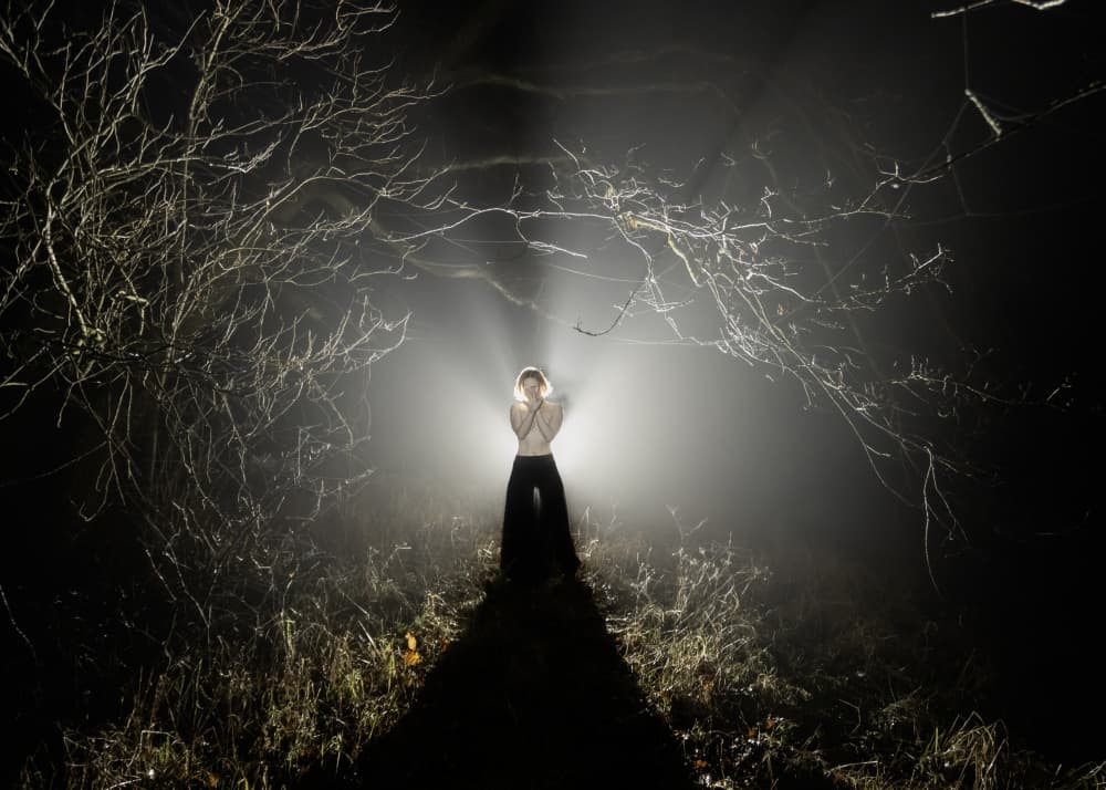 Mist In The Moonlight by Leszek Paradowski — canvas wall art