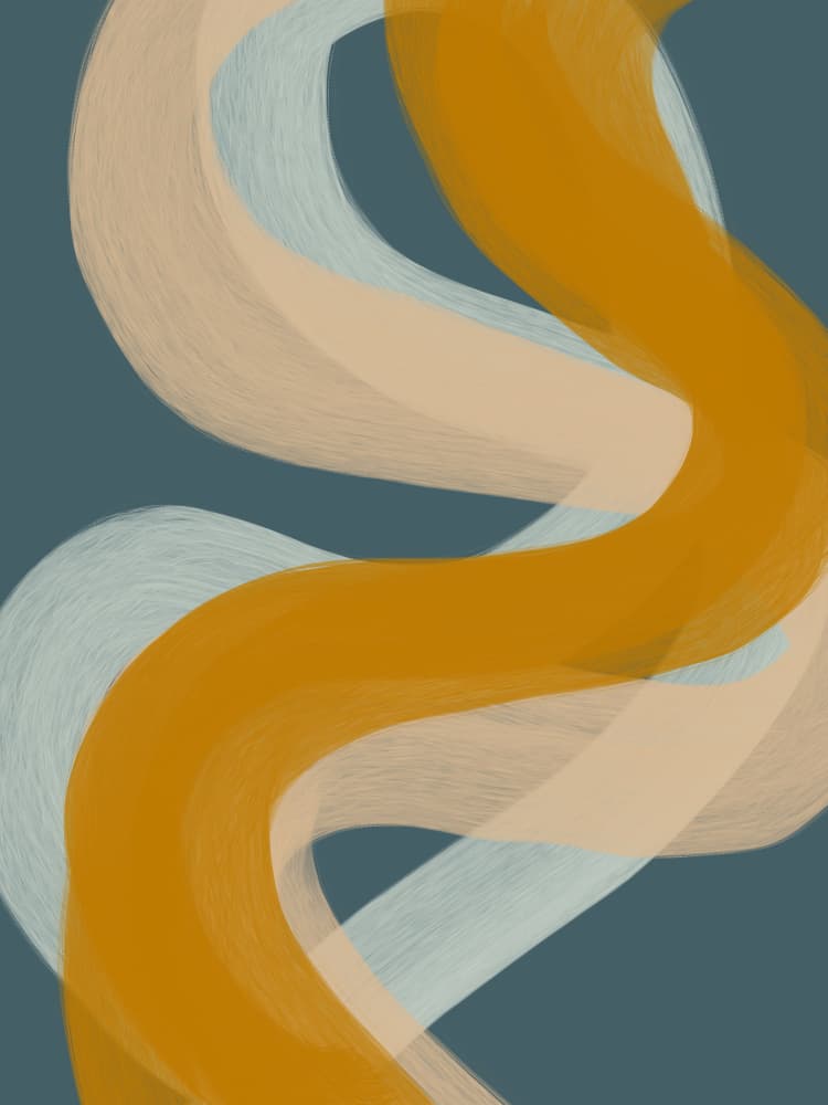 Flowing Abstract Curves by Studio Palette — canvas wall art