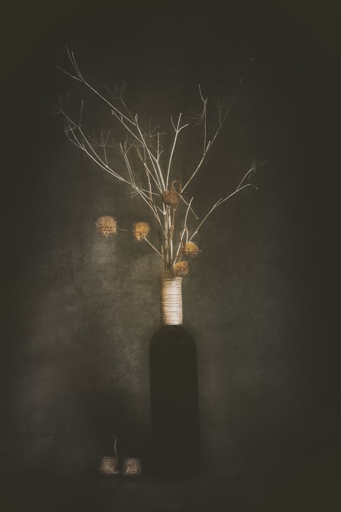 Dark Botanical Still Life by Cicek Kiral — canvas wall art